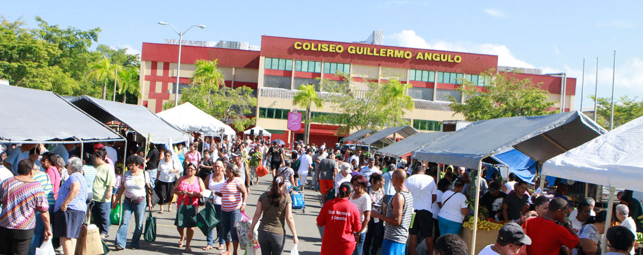 guillermo_angulo2b